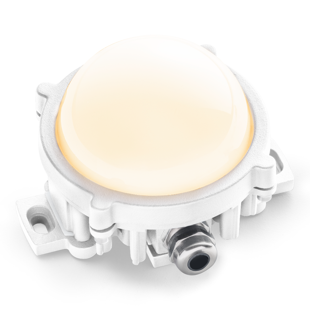 Graph-i-Cell 3 White Light15372